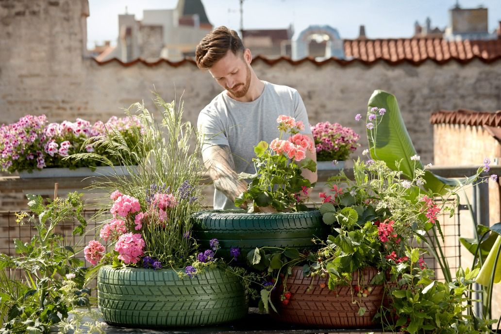 backyard gardening